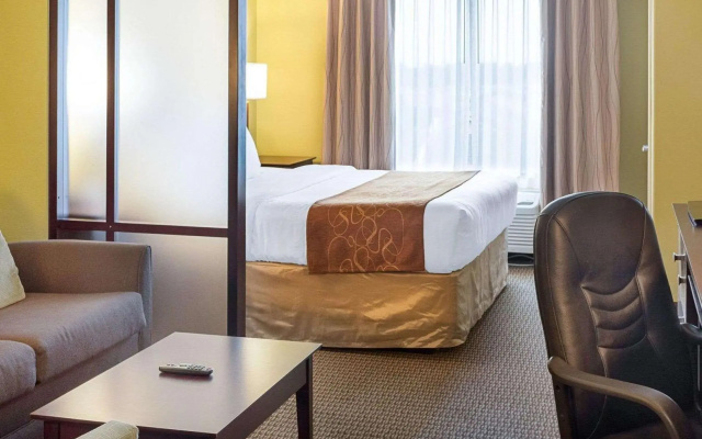 Double Suite
