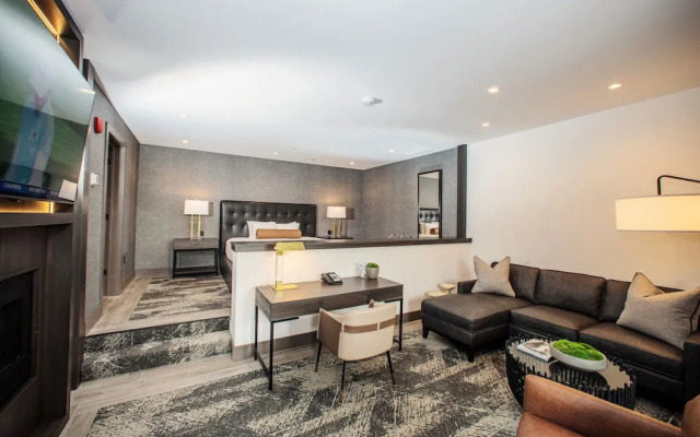 Double Suite
