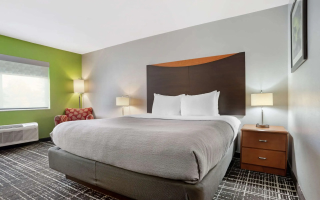 Standard Double room