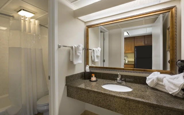 1 Bedroom Standard room with balcony and oceanfront