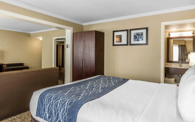 Suite