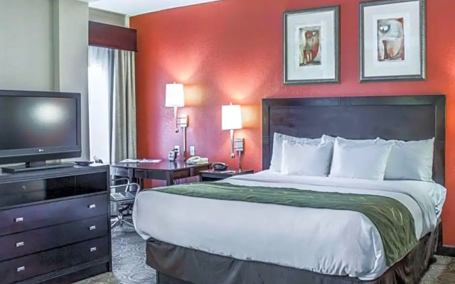 Executive Junior Suite