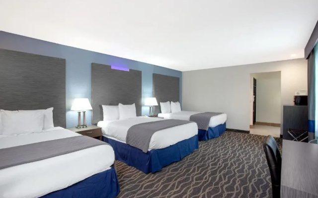 Double Suite