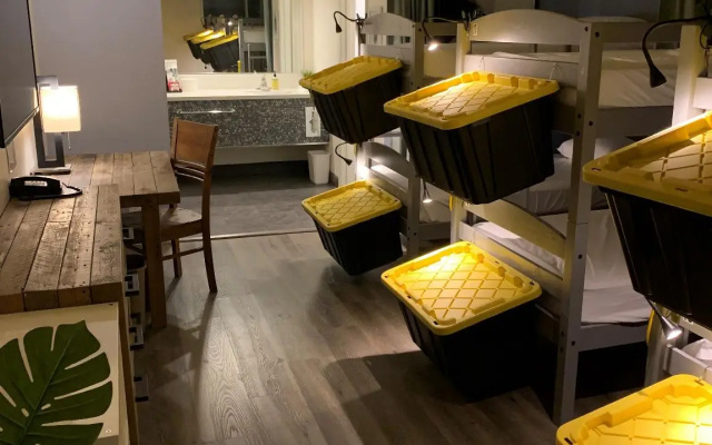 Bed in Dorm
