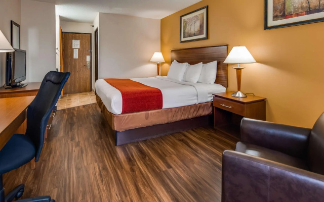 Standard Double Basement room