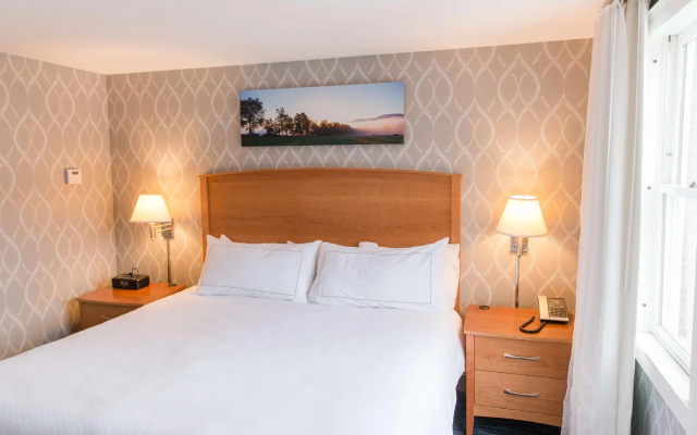 1 Bedroom Double Suite