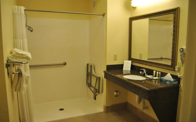 1 Bedroom Suite