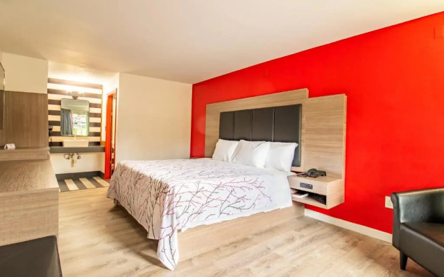 Standard Basement room