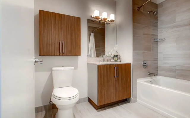 Luxury Apartment