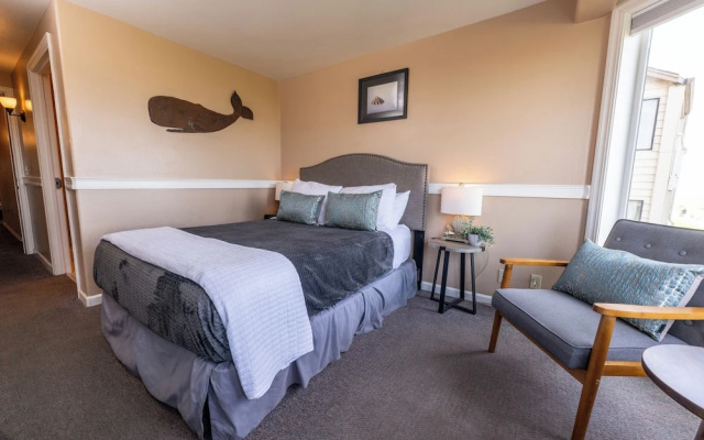Standard room oceanfront