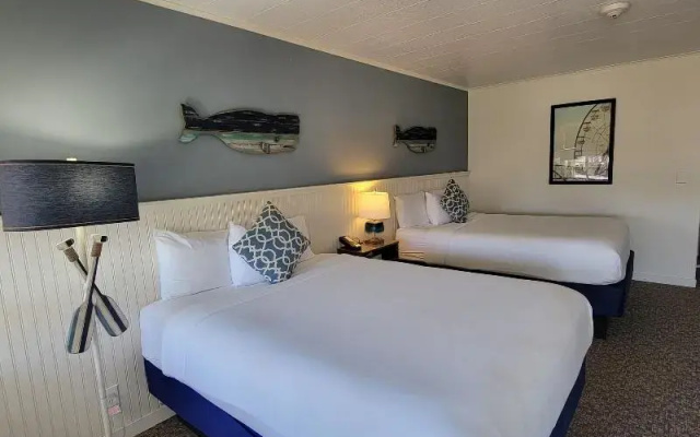 Standard room with view