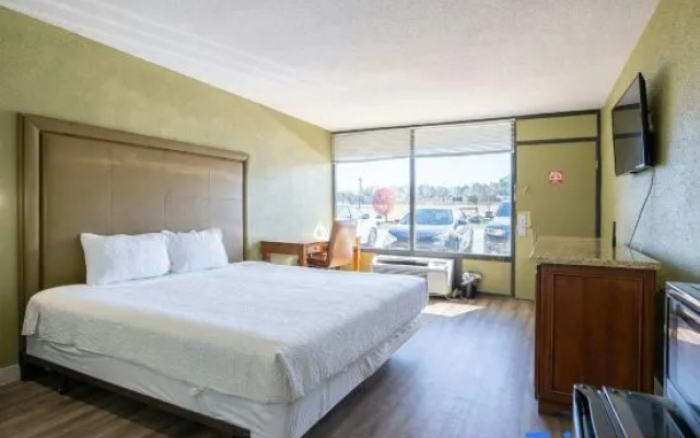 Standard Double room with pool view