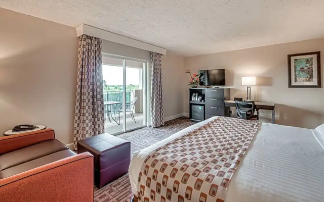 Standard Double room with pool view