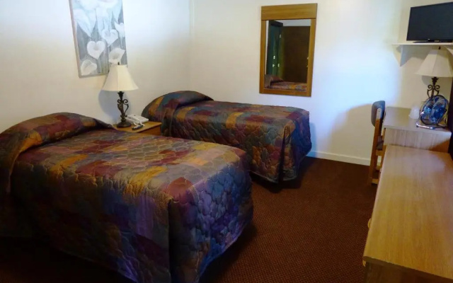 Economy Twin room