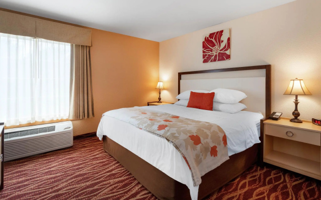 Deluxe Suite