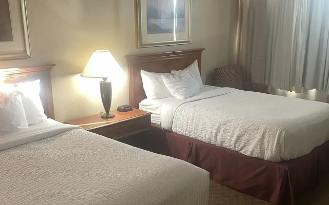 Superior Quadruple room with view