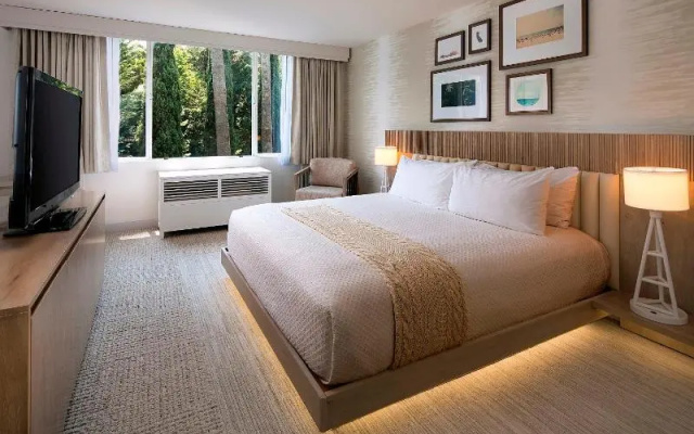 Standard Junior Suite