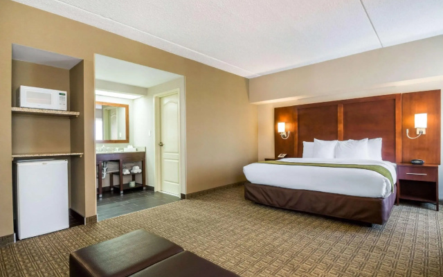 1 Bedroom Suite