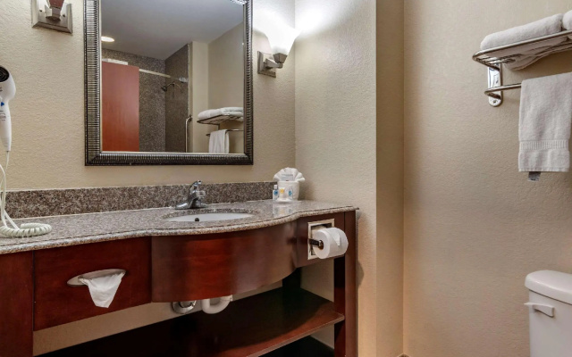 1 Bedroom Suite