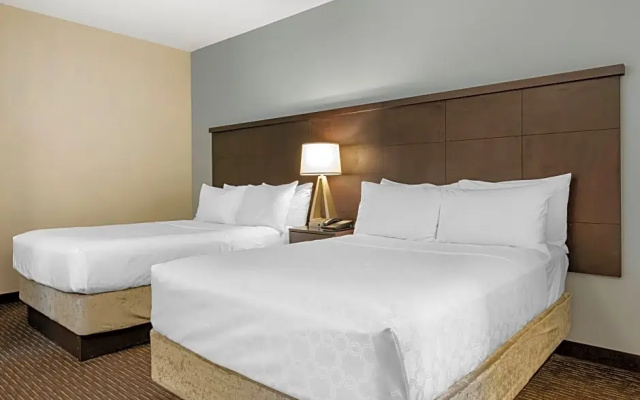 1 Bedroom Quadruple Suite