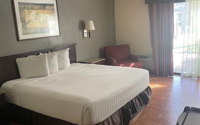 1 Bedroom Deluxe Single room