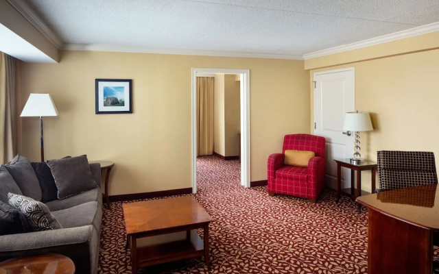 1 Bedroom Suite
