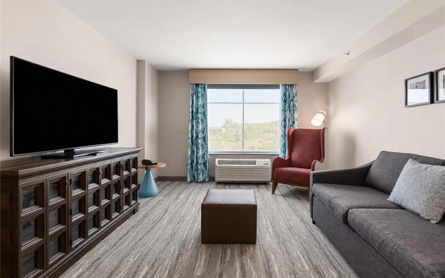 1 Bedroom Double Suite