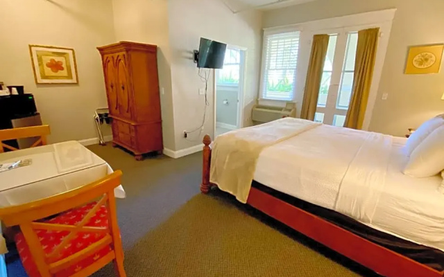 Standard Double room with garden view