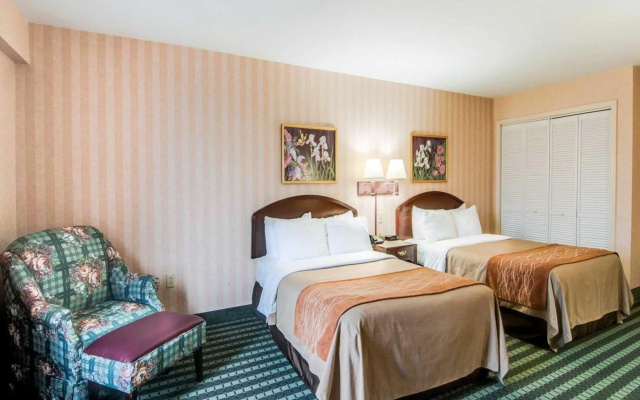 Standard room