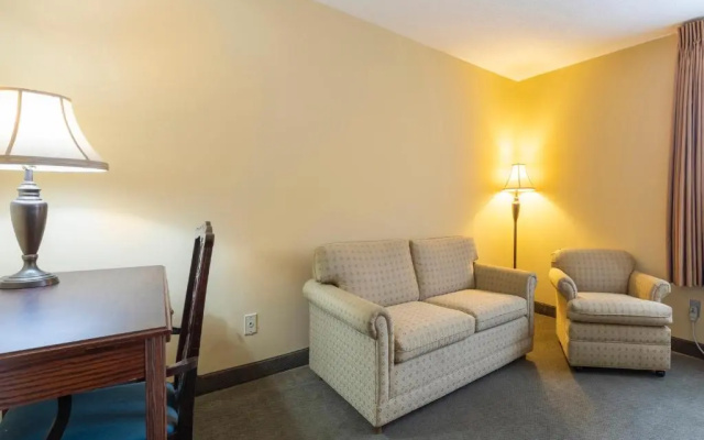 1 Bedroom Suite