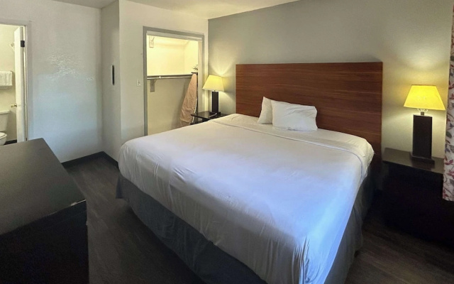 Standard Suite