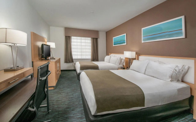 1 Bedroom Quadruple Suite