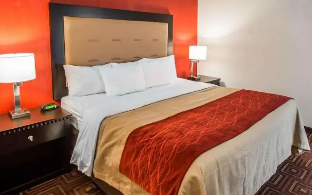 Business Suite