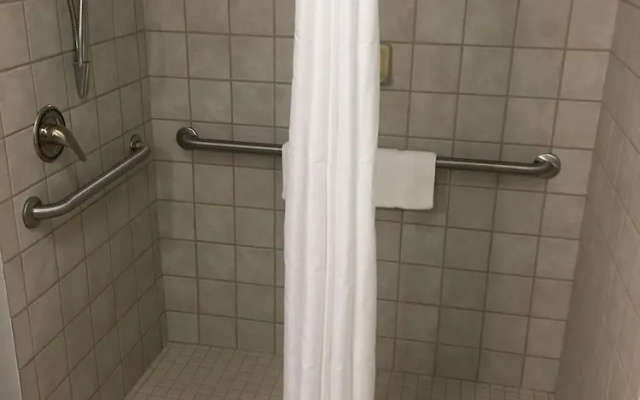 1 Bedroom Suite