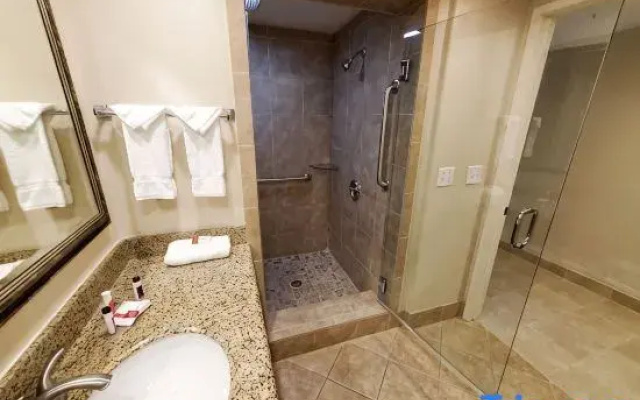 1 Bedroom Suite