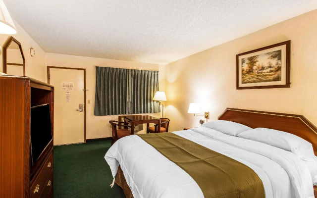 1 Bedroom Standard Double room