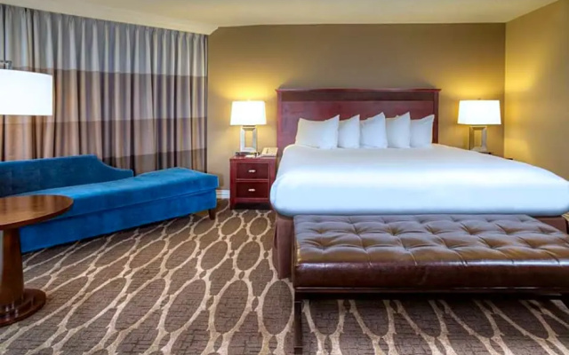 1 Bedroom Executive Floor Double Suite