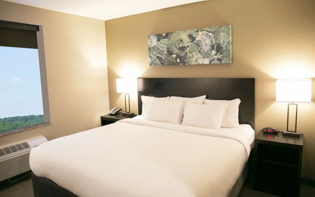Standard Suite
