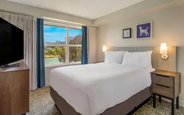Suite with bay view