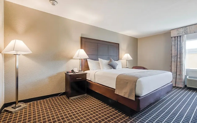 2 Bedrooms Suite