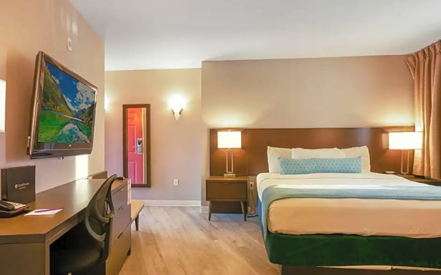 Comfort room