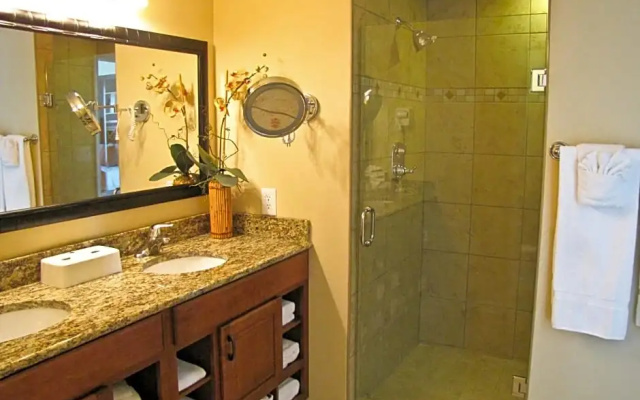 1 Bedroom Deluxe Villa with partial ocean view
