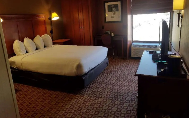 Accessible Double room