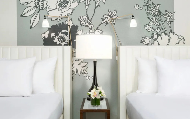 Studio Double Suite
