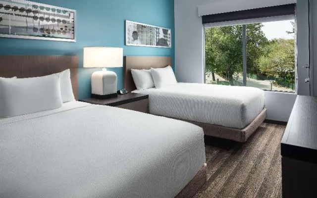 1 Bedroom Suite
