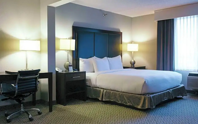Standard Suite