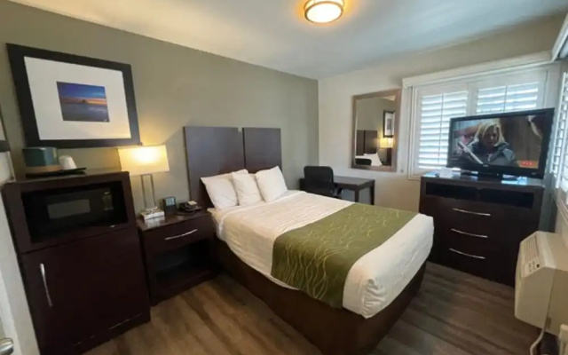 1 Bedroom Standard room
