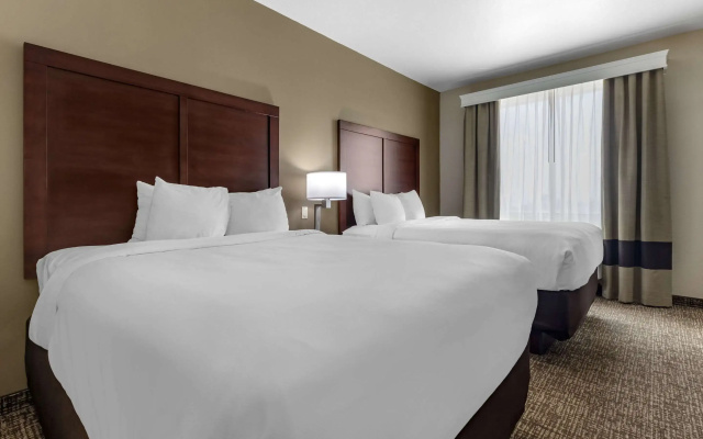 Quadruple Suite