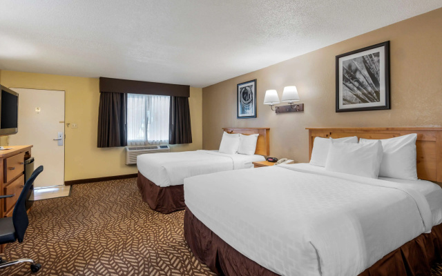 Standard Quadruple room