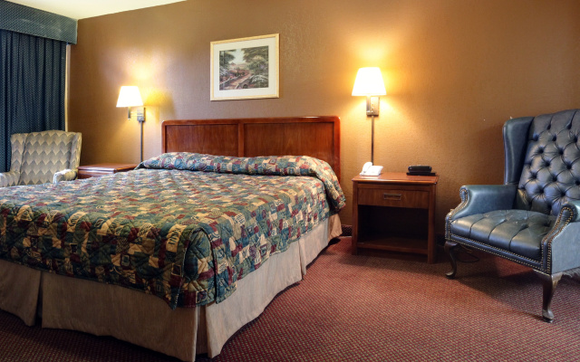 Luxury Suite
